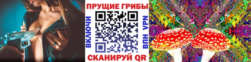 Галлюциногенные грибы мухоморы  Биробиджан 